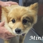Mini Misner 2005-2015